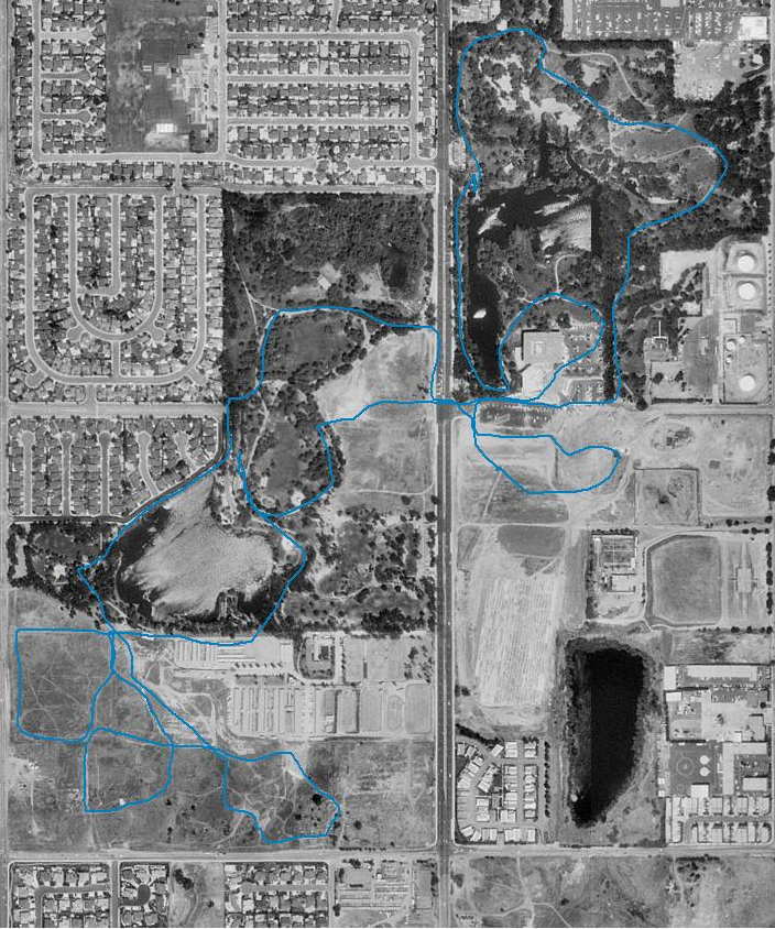 Huntington_Beach_Central_Park_11142004_Sat_2.JPG